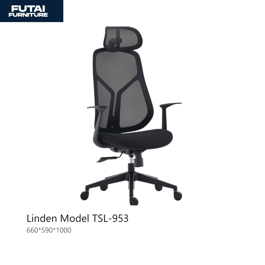 เก้าอี้สำนักงานตาข่าย รุ่น TSL-953 พนักพิงสูงมีที่รองศีรษะ