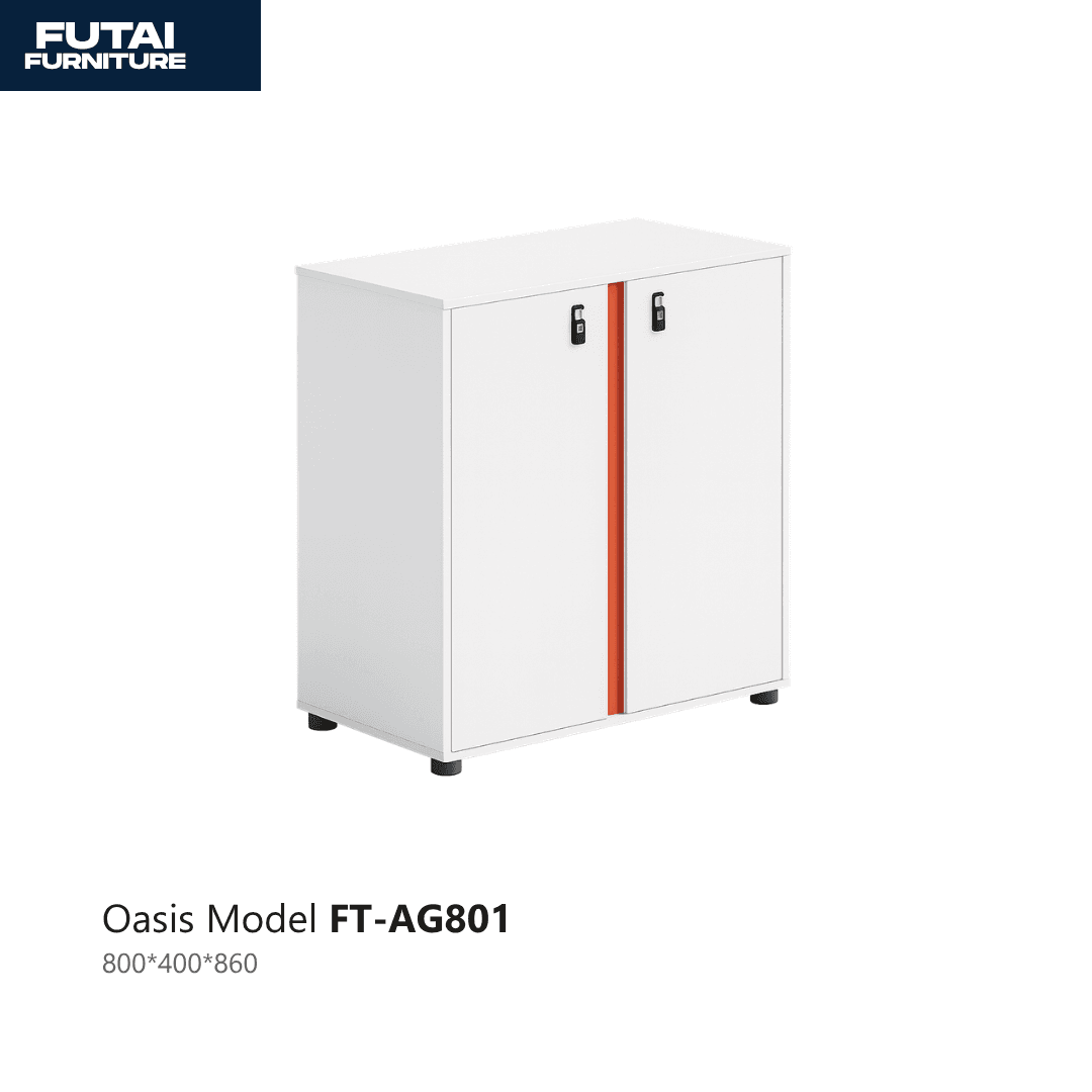 ตู้เก็บเอกสาร 2 บาน รุ่น FT-AG801 มีกุญแจล็อก
